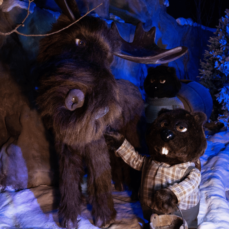 orignal et jean castor