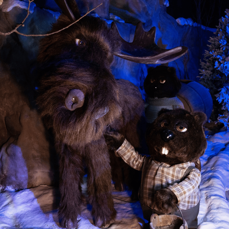 orignal et jean castor