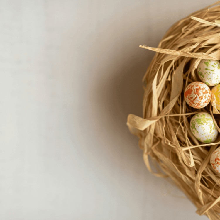 Visuel parcours site Web