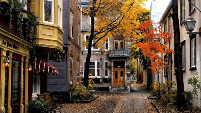 rue ursulines automne